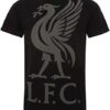 Tričko Liverpool FC Liverbird čierne