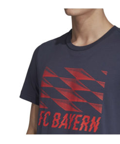 Triko Bayern Adidas Performance STR GR TEE nápis