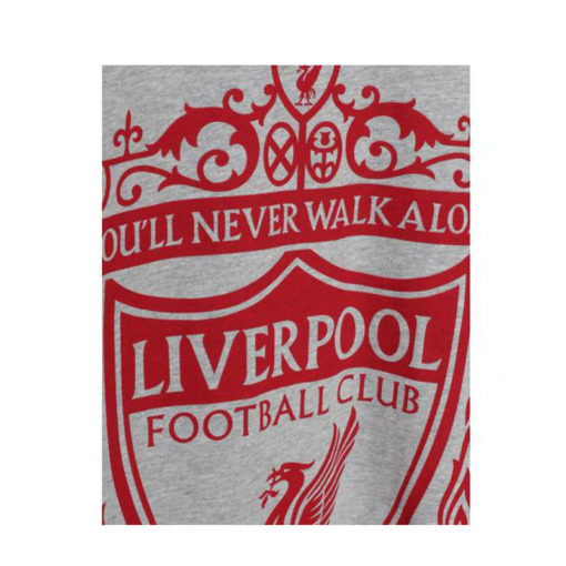 Triko Liverpool s velkým logem šedé