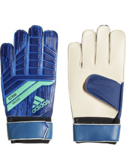 Brankárske rukavice Adidas Predator Pre Training modré