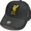 Kšiltovka Liverpool Liverbird Černá logo a LFC