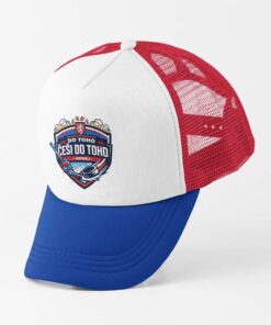 ksiltovka cesi do toho erb cerveno modra 1